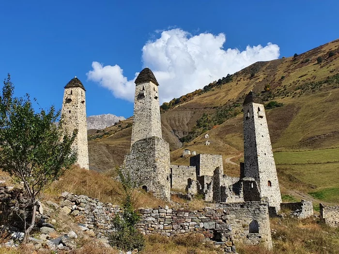 Башни в ингушетии фото