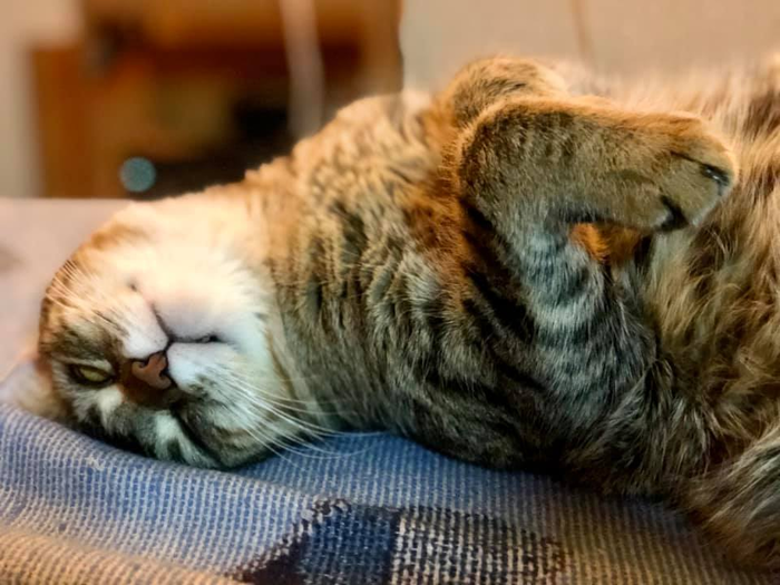 А как проходят ваши выходные?