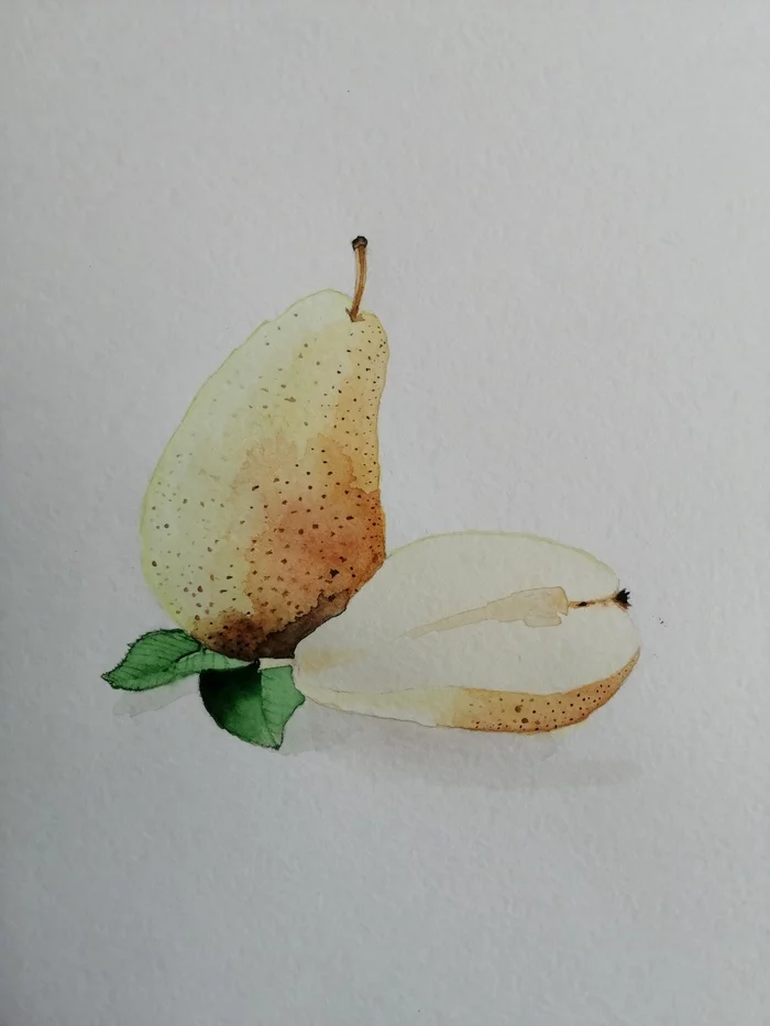 Pear, watercolor - My, Art, Drawing, Watercolor