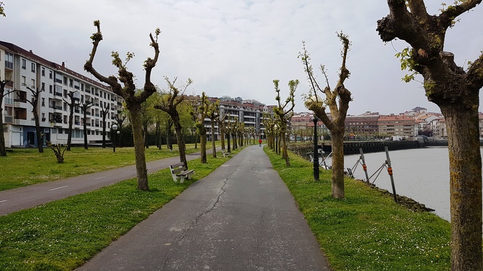 Попытка побега, дождь и боль. Борщ из пакета и другие радости Камино Путешествия, Камино, Пеший туризм, Длиннопост