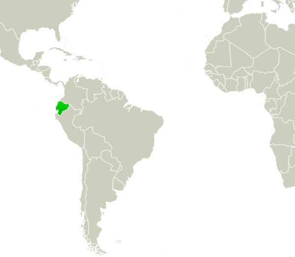 Карта эквадора географическая. Эквадор на карте. Эквадор на карте Америки. Эквадор на карте мира. Где находится Эквадор на карте.