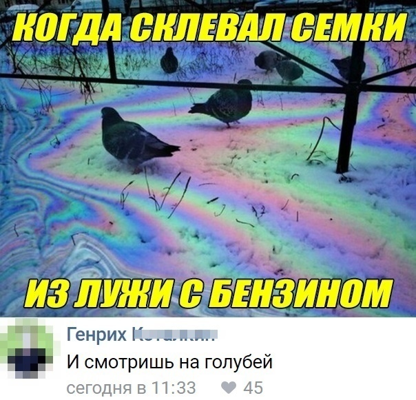 Hallucinations - Pigeon, Screenshot, In contact with, Petrol, Hallucinations, Addiction, Humor, Picture with text, , Comments