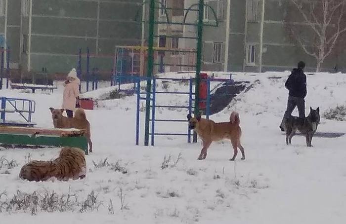 ������� ����