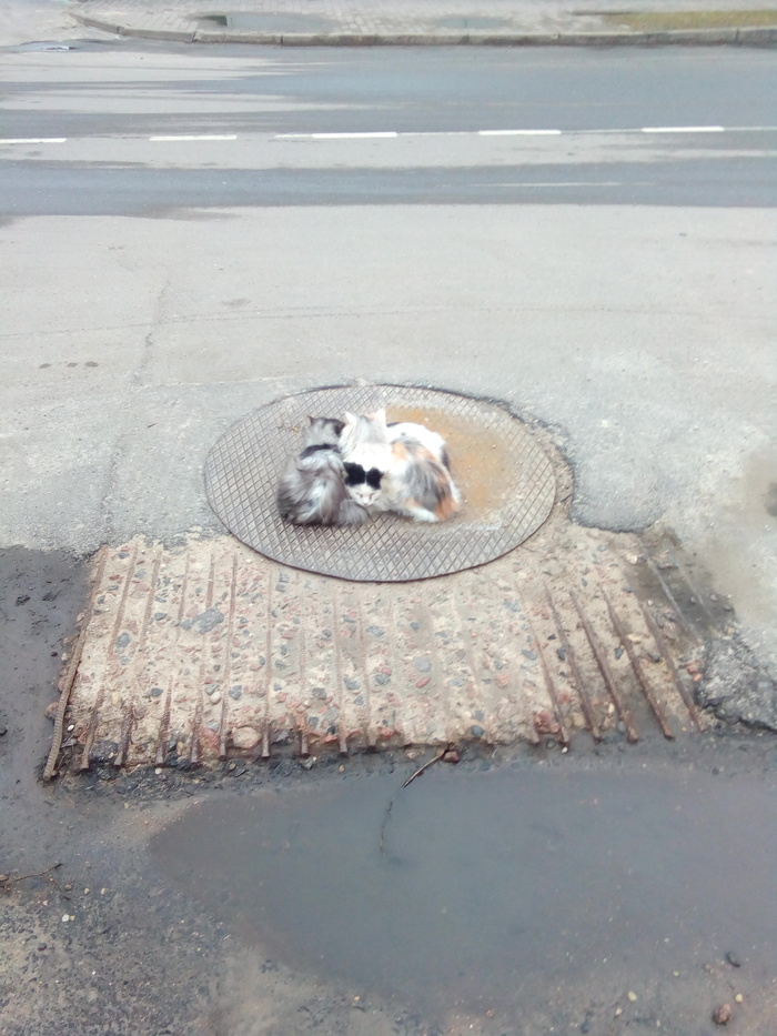 Когда наконец-то дали отопление