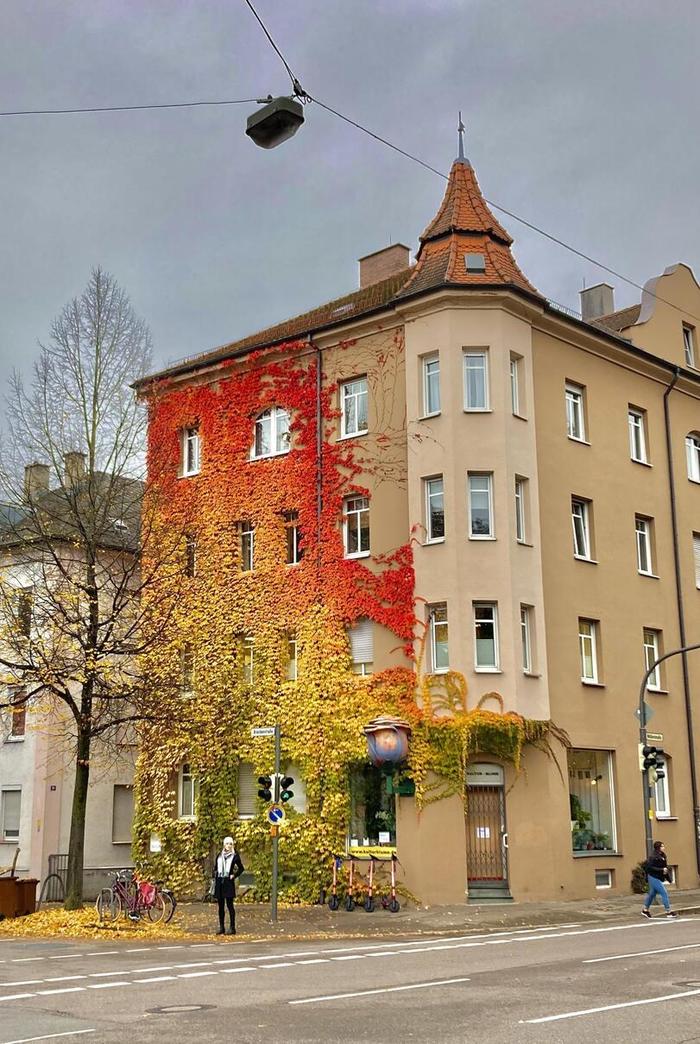 Autumn in Germany - Germany, Autumn, House