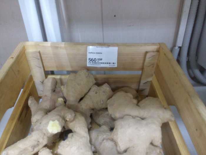 How? Again!? Ginger 2020: take 2 - Ginger, Panic, Pricing, We all die, Kirov region, My