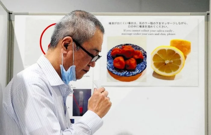 Photo of plum and lemon for coronavirus test in Japan - My, Japan, Coronavirus, Mystery, Drooling