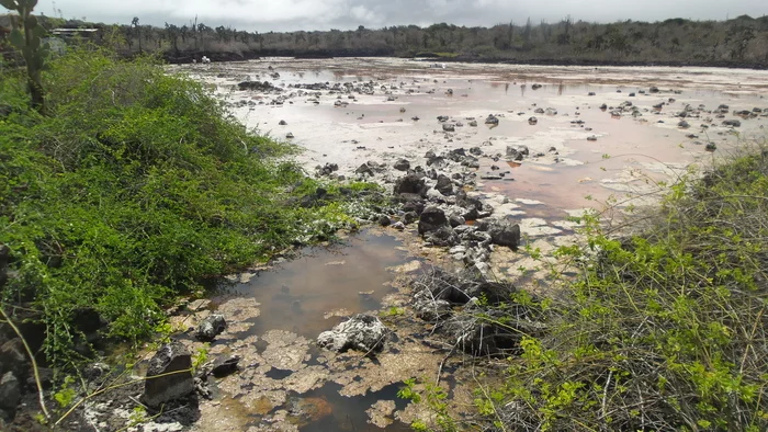 Latin American Checkmark - Isabella-Puerto-Ayora (31.10-1.01.2019) - My, Travels, Tourism, South America, Video, Longpost, Series Latin American Tick 20192020