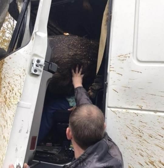 ���� � ������ ����. ��������