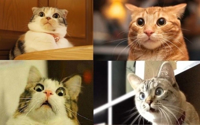 �������� ������� �� ������������ ��������