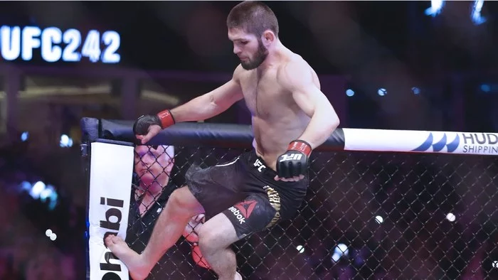 The insanity is getting stronger. Or the title of Hero of Russia for everyone - Politics, Sport, Khabib Nurmagomedov, Tag, Russia, Idiocy, news, Mat