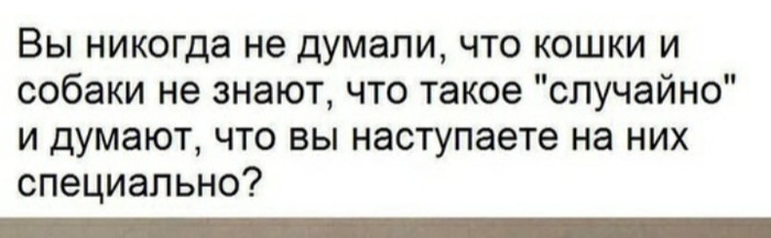 Пост о боли - Кот, Собака, Случайность, Домашние животные, Картинка с текстом