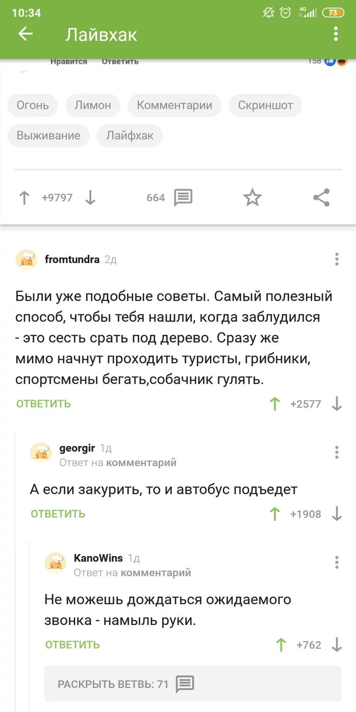 Что делать, если потерялся в лесу - Лимон, Лес, Потеряшка