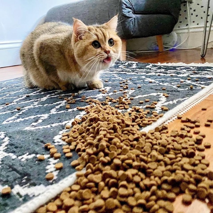       , ,  