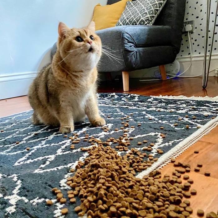       , ,  