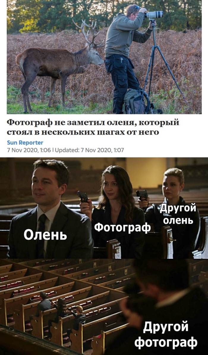 Фотограф олень | Пикабу