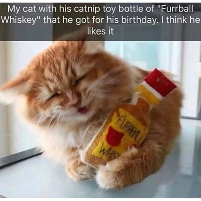 .  ) , , , , , 