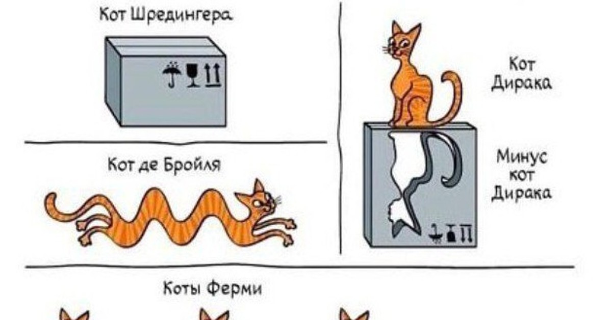 Юмор шредингера вконтакте. Парадокс кота Шредингера. Кот Шредингера квантовая физика. Кот и физика. Теория кота Шредингера.