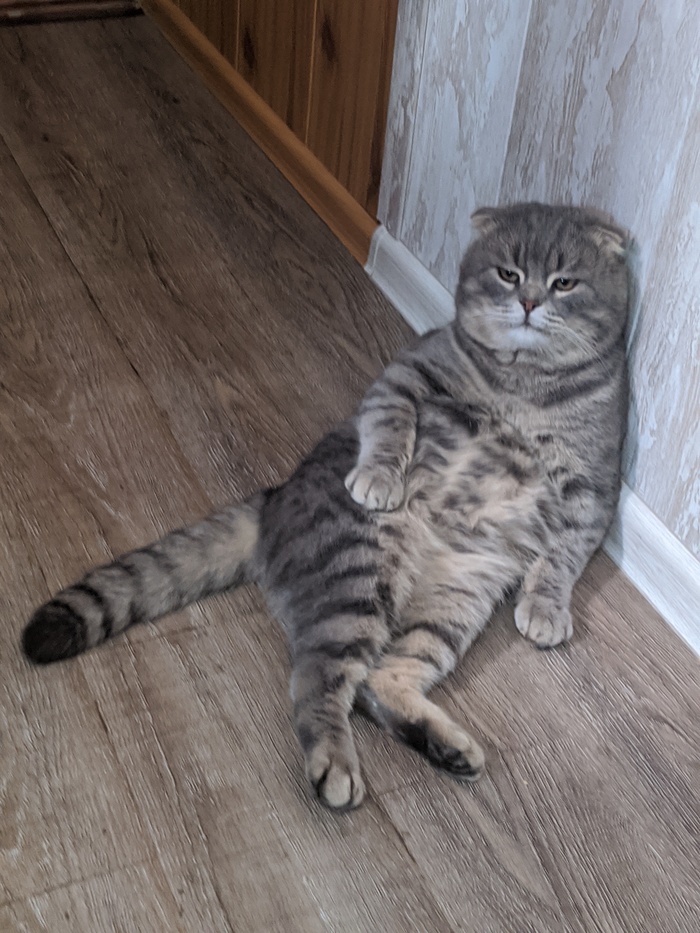      , , , 