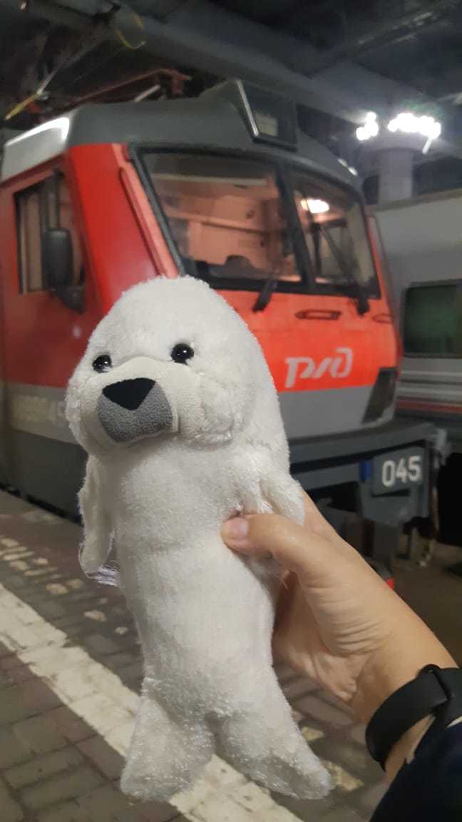 My son’s favorite toy, forgotten in the dining car on the way to Sochi... - My, The missing, Travels, Joy, Find, Russian Railways, A train, Toys, Longpost