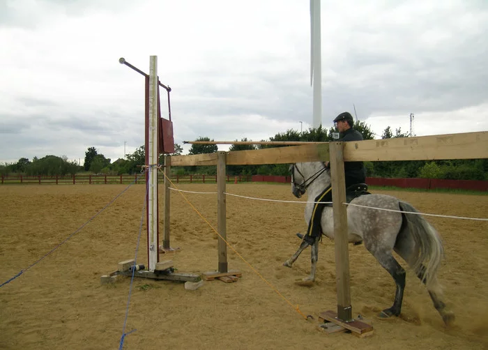 How big were the knights' horses? - Series Myths about medieval warfare, Longpost, Sarmatians, Macedonia, Crusaders, Rome, Antiquity, Middle Ages, Rider, Horses, Knights, My