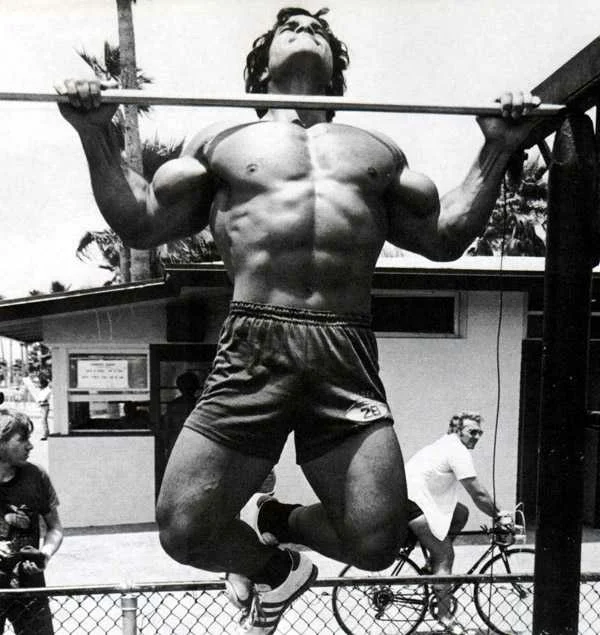 Who was the first to do the front hang gymnastic element? How do bodyweight exercises strengthen muscles? - My, Workout, Exercises, Workout, Sport, Arnold Schwarzenegger, Franco Colombo, Gymnastics, Body-building, Video, Longpost