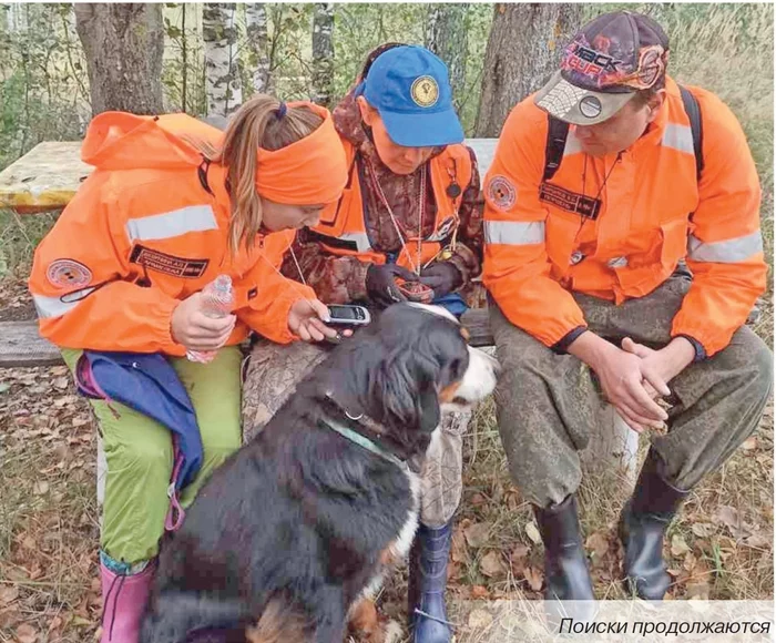 73-year-old grandmother wandered through the forest for more than 2 days - My, Forest, Got lost, Ministry of Internal Affairs, Ministry of Emergency Situations, Help, Fear, Happiness, Survival, Autumn, Grandmother, Daughter, Police, Longpost