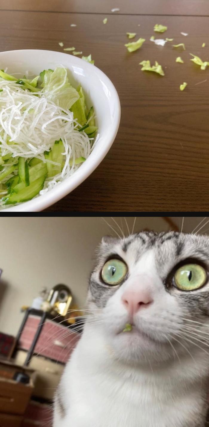 Опасный преступник схвачен, но свою вину отрицает