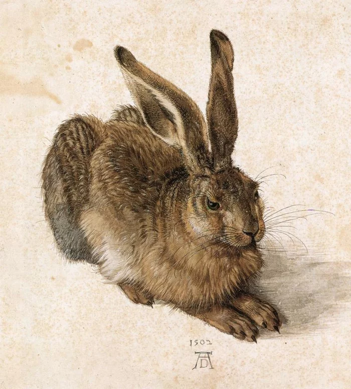 Durer's Hare, or how a simple hare became an animal from Hell - My, Painting, Art, Drawing, Albrecht Durer, Hare, Revival, Art history, Masterpiece, Longpost