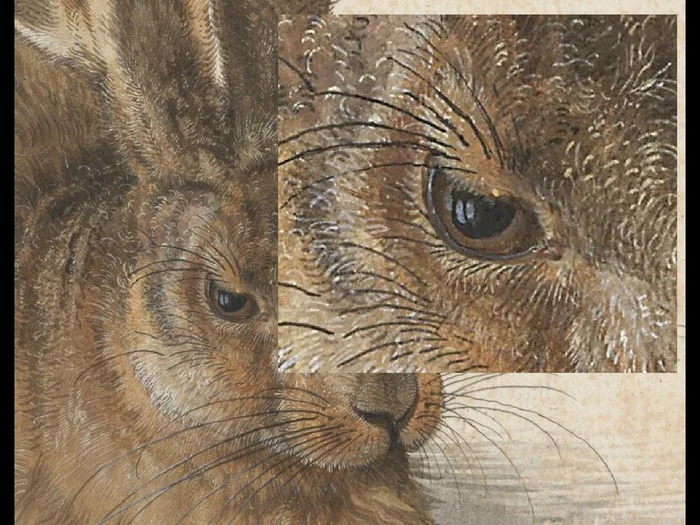 Durer's Hare, or how a simple hare became an animal from Hell - My, Painting, Art, Drawing, Albrecht Durer, Hare, Revival, Art history, Masterpiece, Longpost