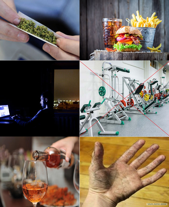 ���������� ���������