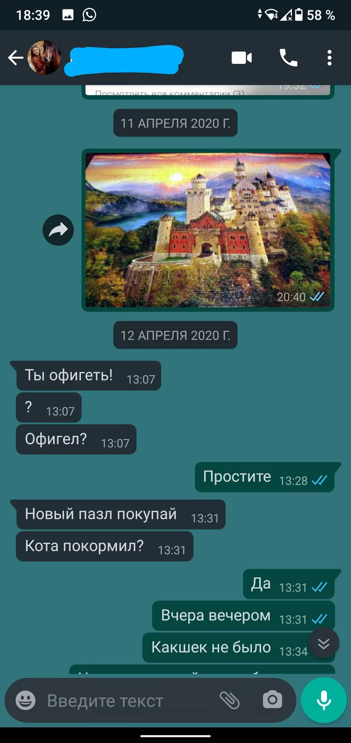 Well, I'm also a kind of wizard - Puzzle, Screenshot, Longpost, Correspondence, Whatsapp