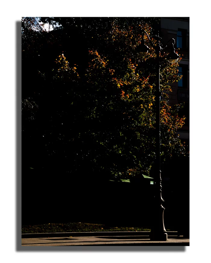 Watchman | Street #5 - My, The photo, Photographer, Color, Lamp, Saint Petersburg, Town, The street, Autumn