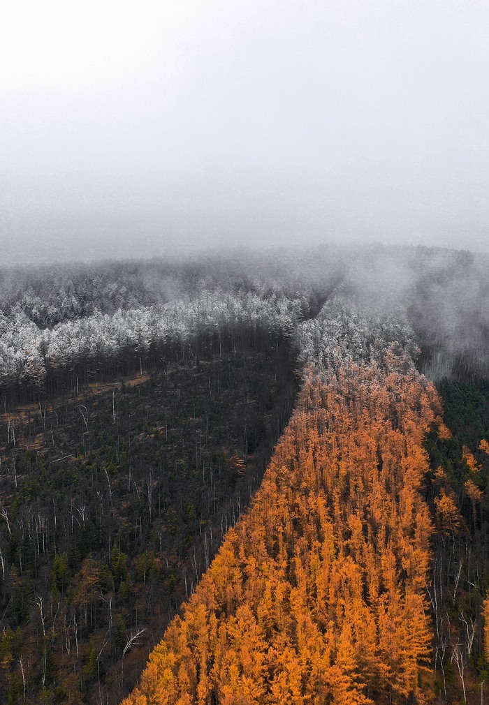 �� ������� ����� ������������ ������