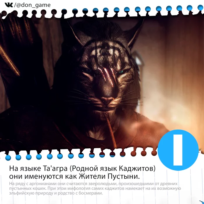 Five Facts: The Khajiit didn't steal anything! - about unknown cats of Skyrim - My, Khajiit, The Elder Scrolls V: Skyrim, Facts, Games, Computer games, Longpost, Yandex Zen