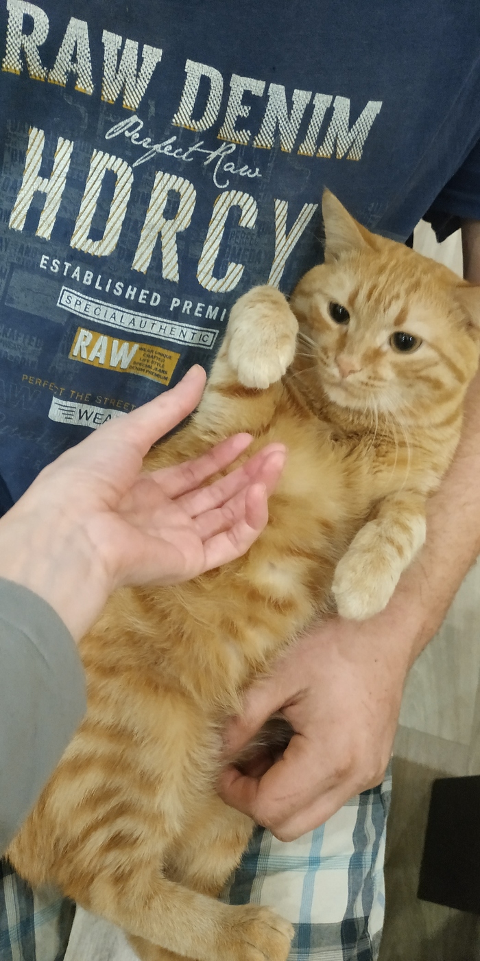 ���� �����, �������� �����