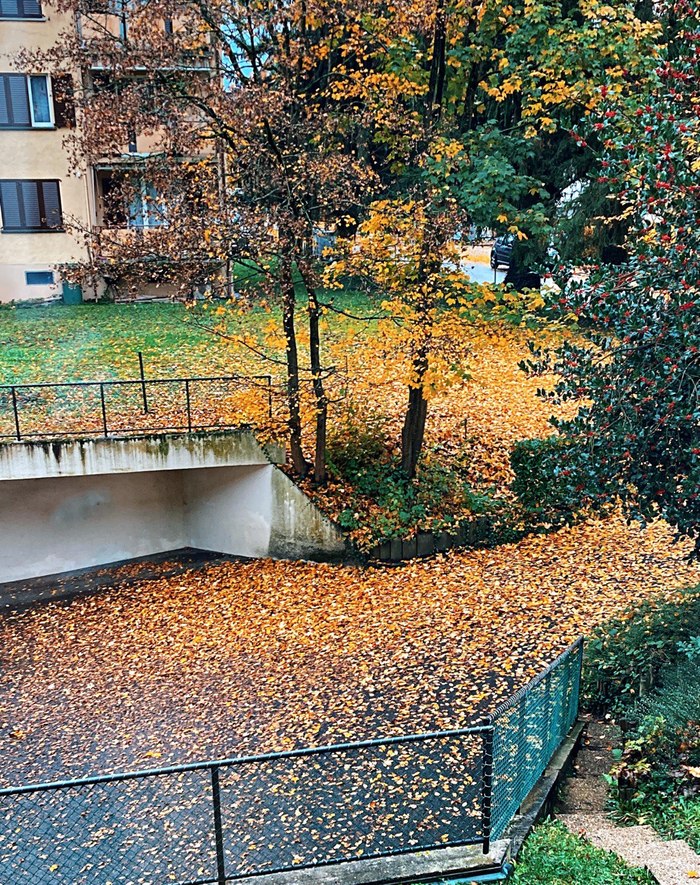 Чем пахнет Швейцария Швейцария, Переезд, Жизнь за границей, Длиннопост