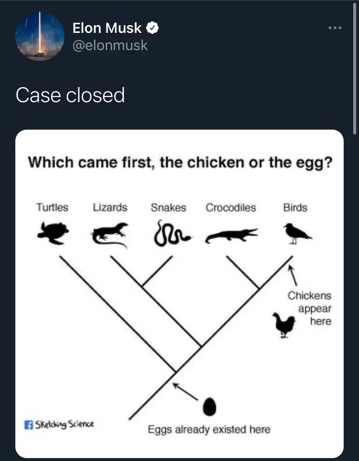The eternal dispute is settled - the egg was before the chicken - Dispute, Eggs, Hen