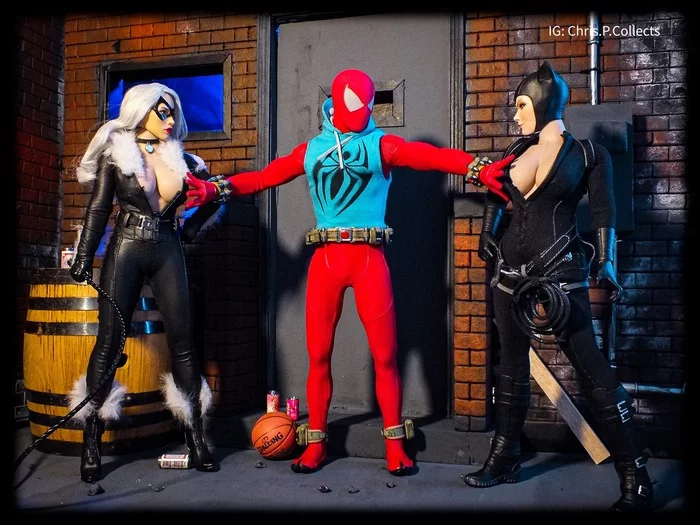 No fight! - Figurines, Hot Toys, Spiderman, Catwoman, Collectible figurines, Black Cat (Marvel Comics), Dc comics, Marvel