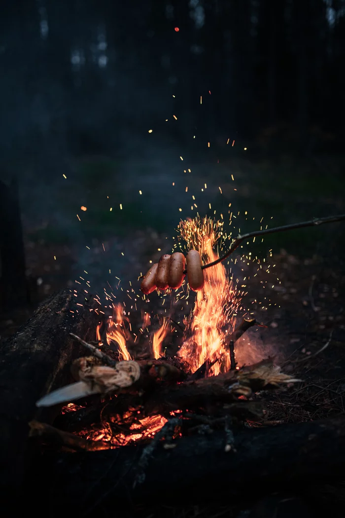 Kingdom of warmth and light - My, Forest, Bonfire, Hike, Winter, Snow, Food, Coal, Sparks, Pine, The photo, Nikon d850, Sigma 35 f14, Sausages, Longpost