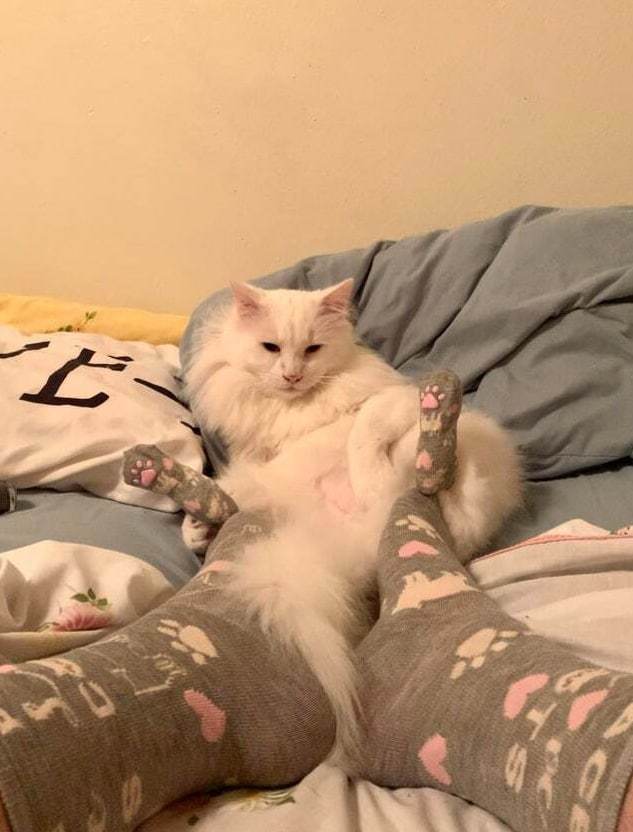 Настали холода, пора утепляться