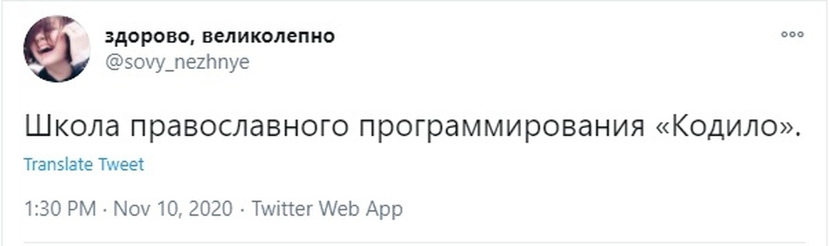 Кодило. Школа программирования кодило. Школа православного программирования. Школа православного программирования кадило. Православное программирование Мем.