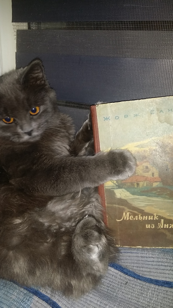 Книги из "падика".обзор случайных книг