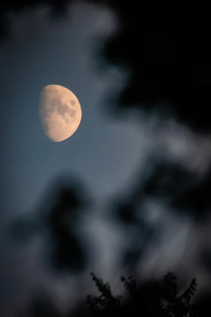 Moon - My, Canon 6D Mk II, Canon, Sigma, moon, The photo