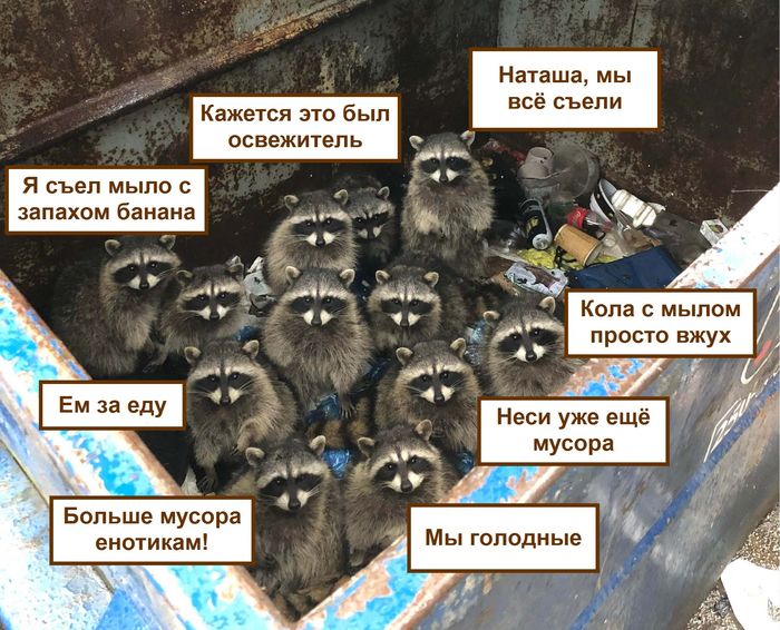 Ответ на пост «Славься Кей, славься Кей!»