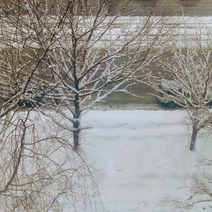 ��� ��������