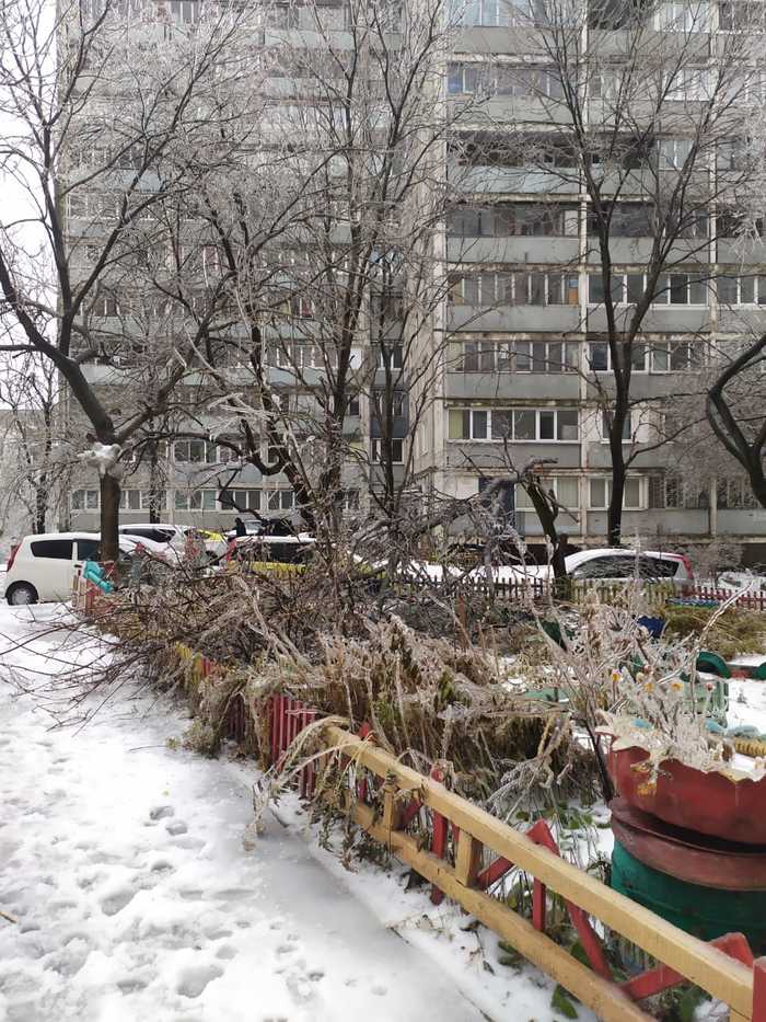 Ледяной дождь во Владивостоке 19.11.20 | Пикабу