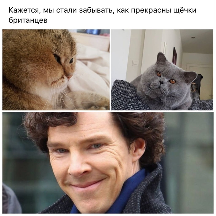 ����� ���������