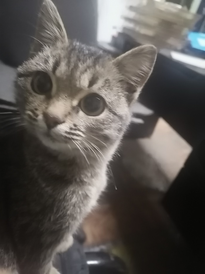 ����� �������