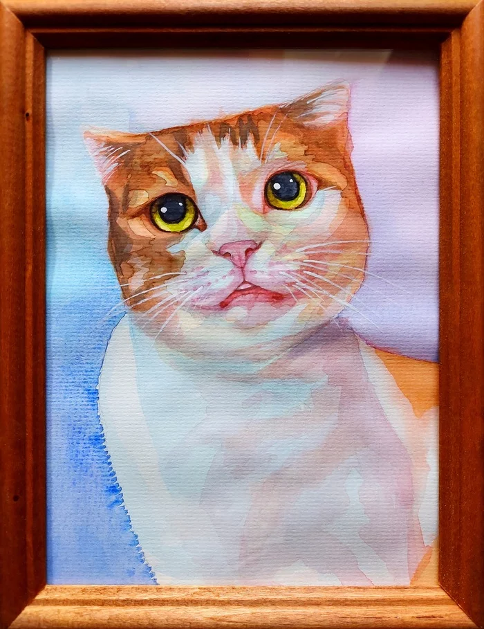 My help to the shelter - My, Watercolor, cat, Help, Animal shelter, Portrait, Drawing, Charity, Longpost